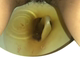 A very cute girl on her period shits a long log into a toilet from an under ass view, with a look at the product. Brief, but nice clip. Filmed from a between the legs perspective. Vertical format video. Under half a minute.